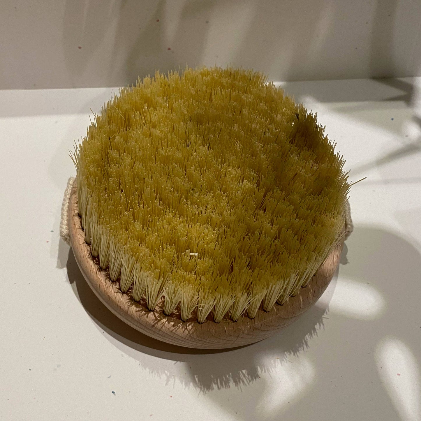 VEGAN Cactus Bristle Sustainable Contoured Dry Body Brush