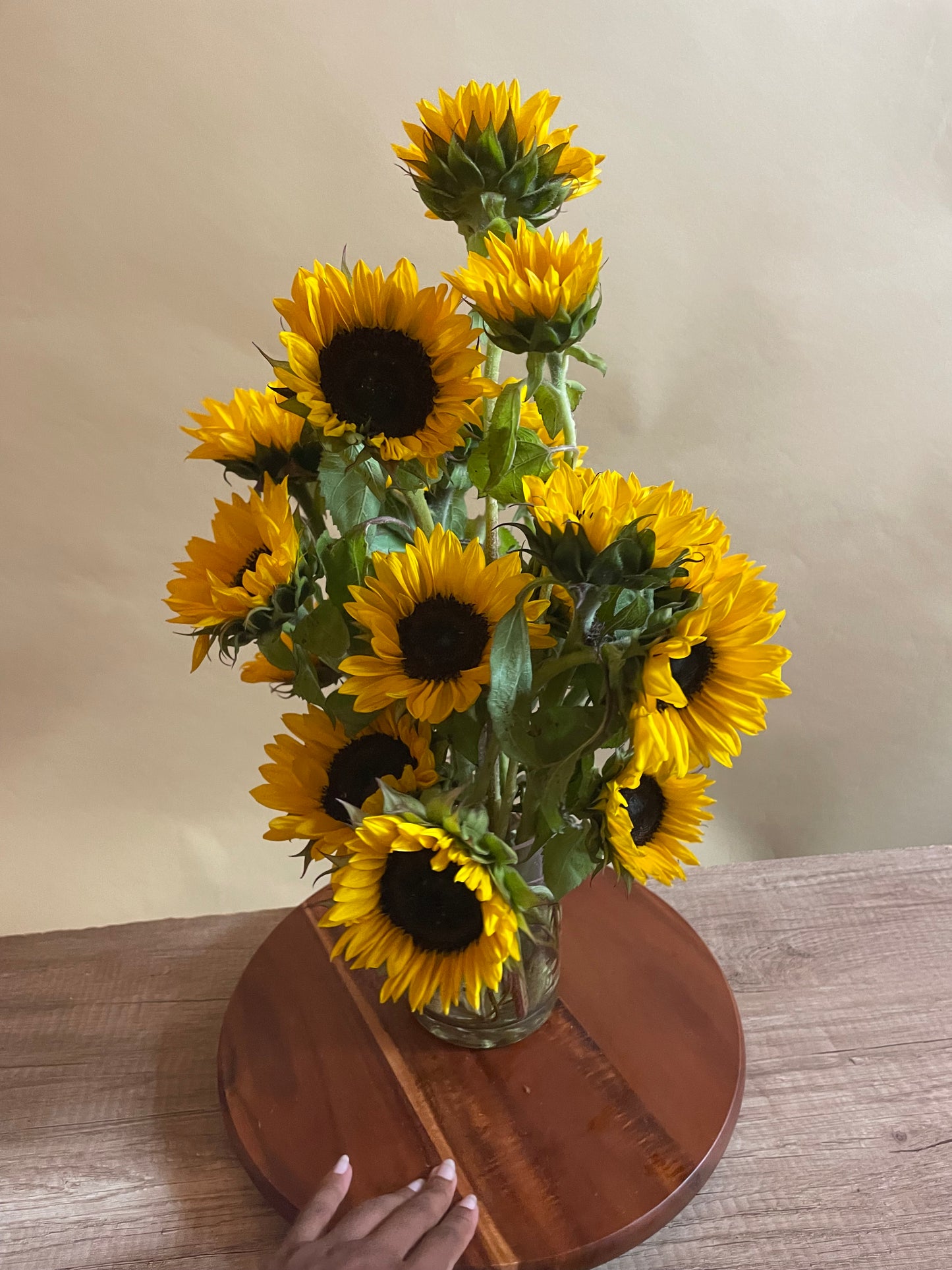 Sunflowers en Masse